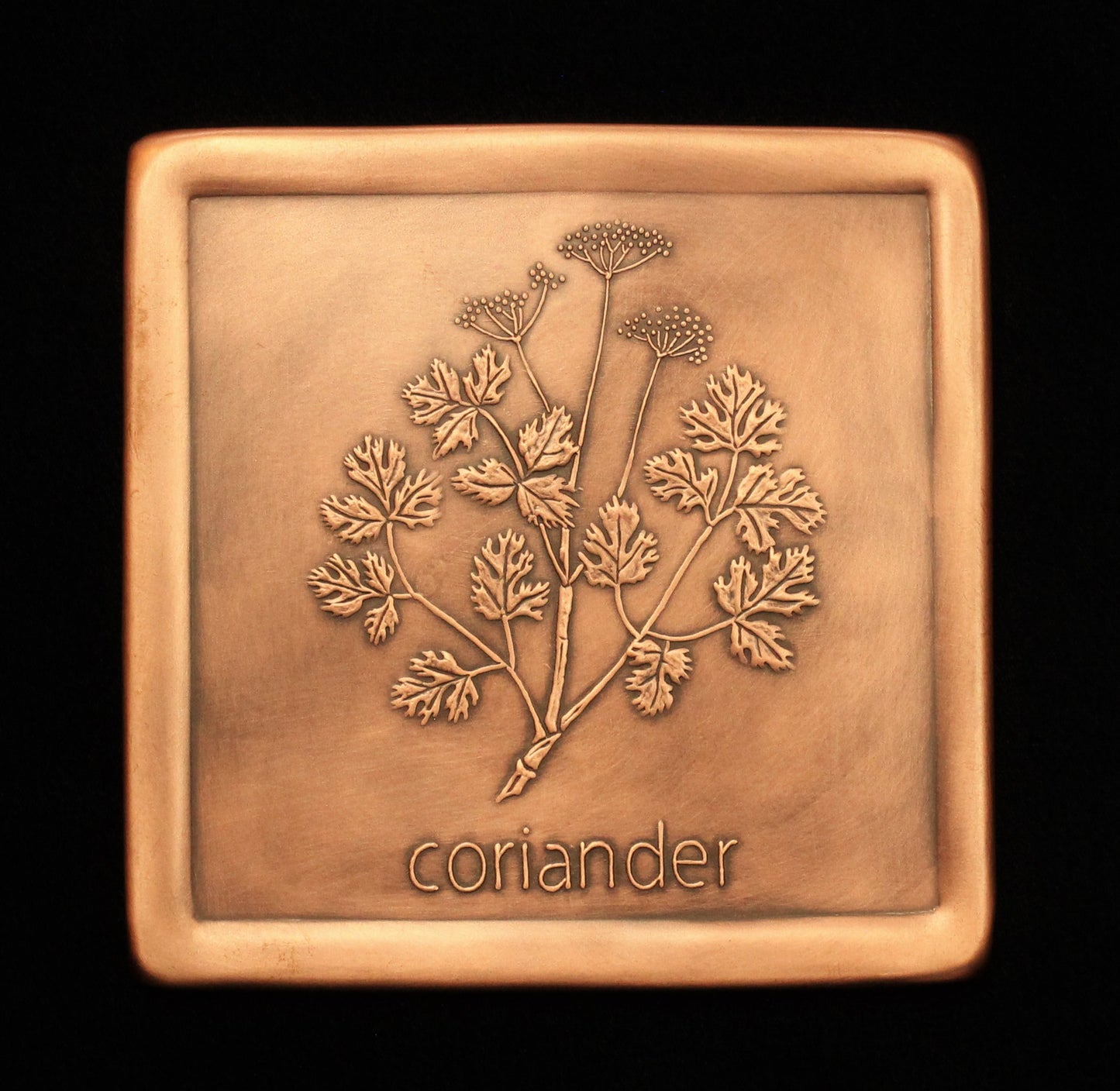 Coriander Tile, 6"x 6", Copper. COT66