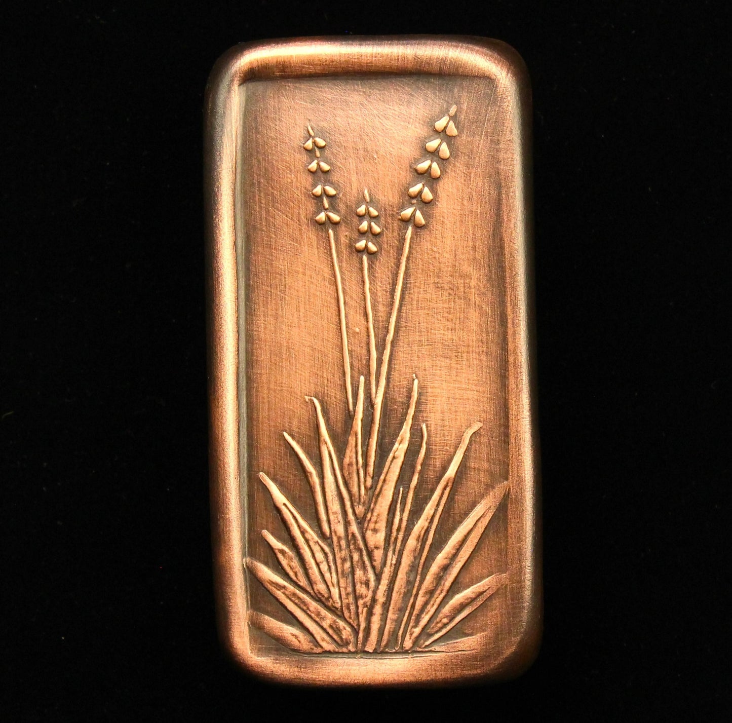 Century Plant Cabinet Pull, 1.5"x 3"