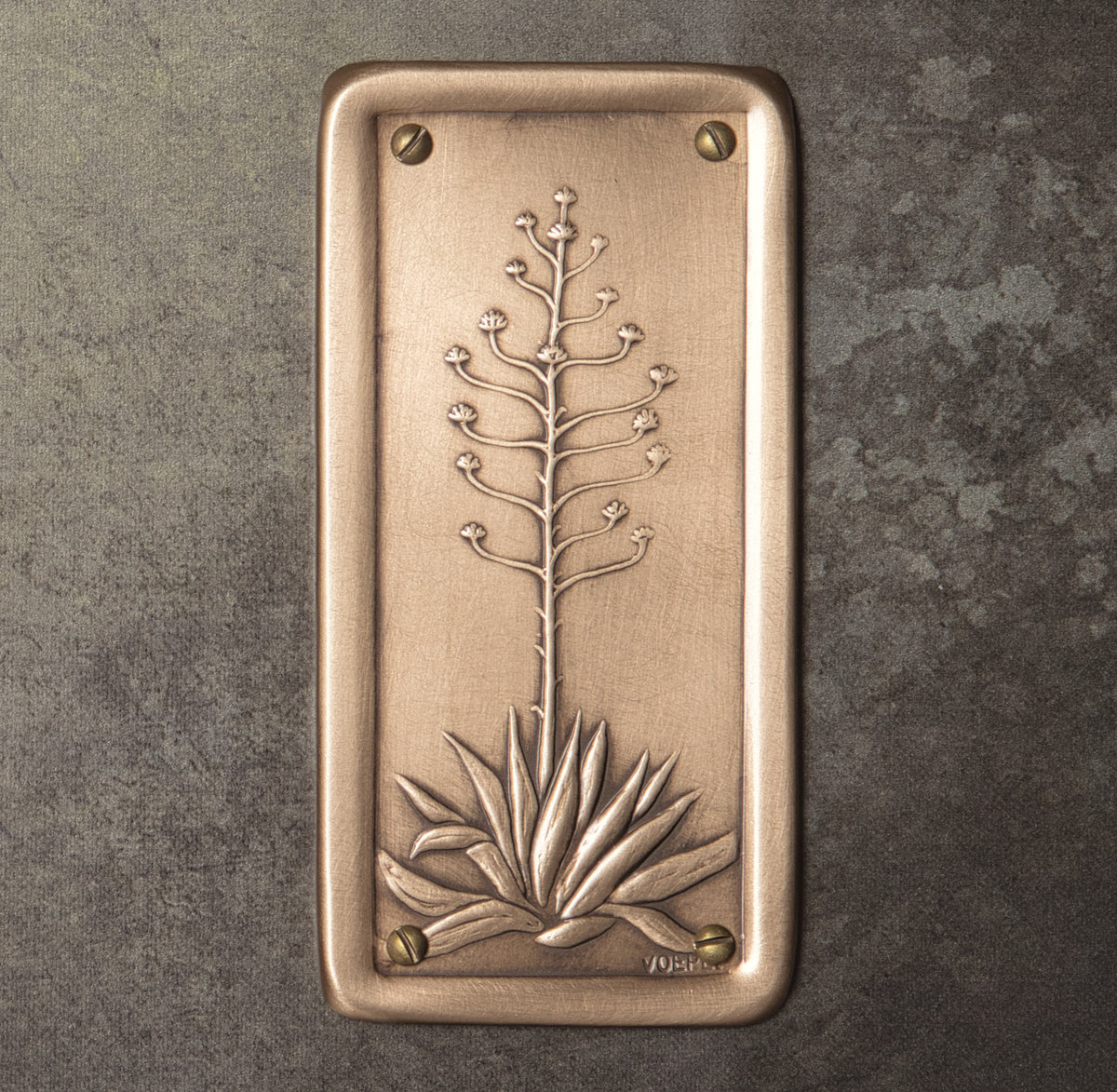 Agave Push Plate, Bronze, 3" x 6".